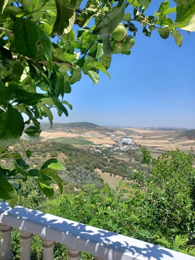 Nuevo Loft El Carpintero Lejlighed Vejer de la Frontera Eksteriør billede